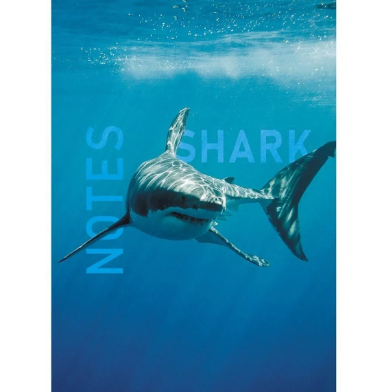 Книжка зап. А5 145 х 206 80 л. кл. Shark инт. обл. гл. лам.