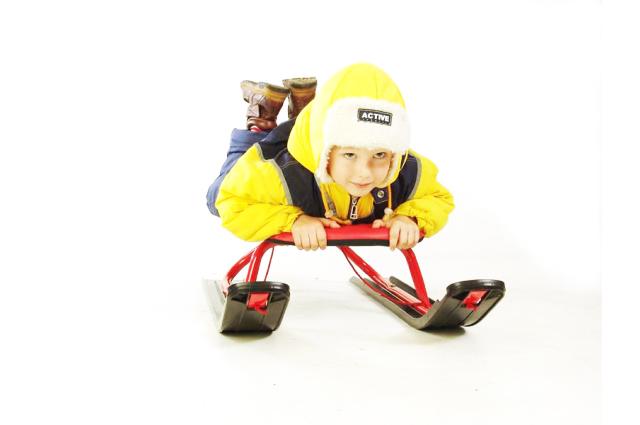 Санки универсальные СБУ.01 со спинкой