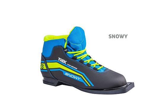 Ботинки лыжные TREK Freez металлик (лого сиренеый) N р.36
