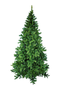 Ель Сибирская 3,6 м.