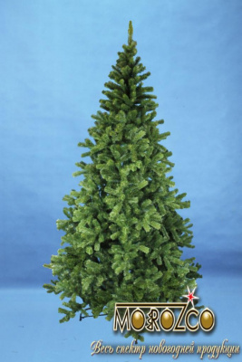 Ель Сибирская 2,7 м.