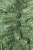 Елка Сибирская 1,2 м.