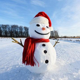 НОВОГОДНИЕ ТОВАРЫ