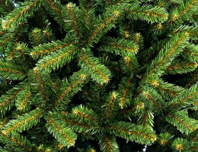 Ель "Звездная" 1,5 м.