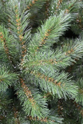 Ель "Crystal" 1,6 м.