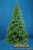 Елка Московская 3 м.