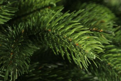 Ель искусственная "Беверли" 1,8 м.