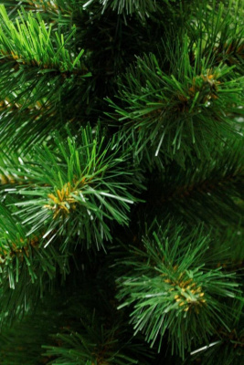 Ель Скандинавская 2,1 м.