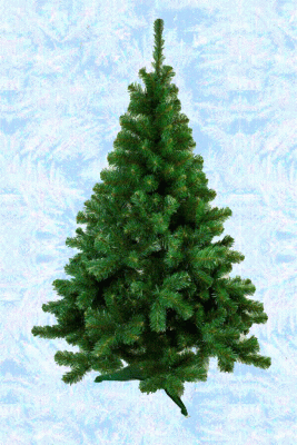 Елка Скандинавская 1,8 м.