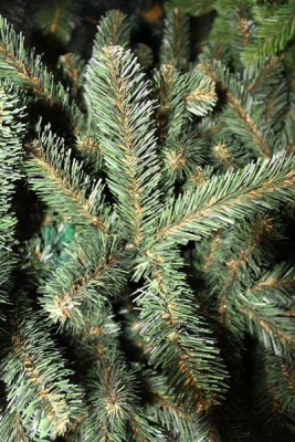 Ель "Звездная" 2,1 м.