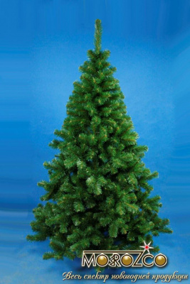 Ель Скандинавская 2,1 м.