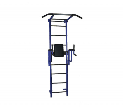 ДСК "Крепыш плюс" пристенный с брусьями (синий)