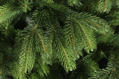 Ель искусственная "Беверли" 2,1 м.